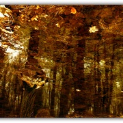 Untitled-1_card