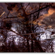 Untitled-1_card