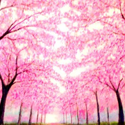 Cherry_trees_better_card