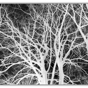 Untitled-1_card
