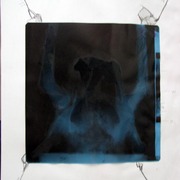 Img_5453_card