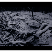 Untitled-2_card