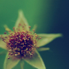 Dsc_0141_by_freede_thumb