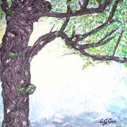 Dscn2488_card