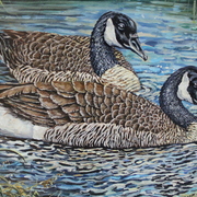 Img_0023_card