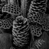 Christmas_decorations_web-1_thumb