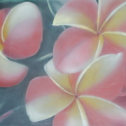 Dsc00792_card