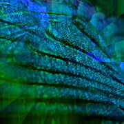 Absolute_blue-1200_card