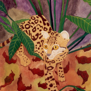 Margay_card