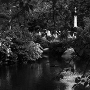 Pond2_card