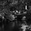 Pond2_thumb