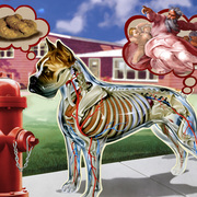 Fire_hydrant_card