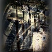 Sham_card