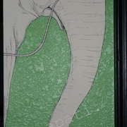 Tucson-aspen_051_card
