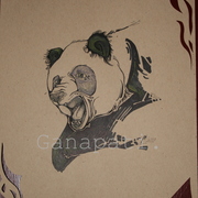 Tucson-aspen_075_card