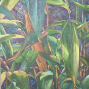 Dsc00794_card