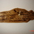 Dsc01700_tiny_square