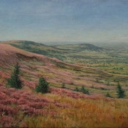 Heather_yorkshire_moors_card