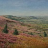 Heather_yorkshire_moors_thumb
