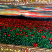 Bettertibetan_poppies_field_card