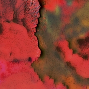 Rost2_card