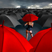 Red_intruders_web_card