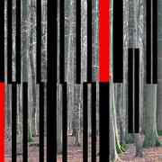 Scanwald2_card