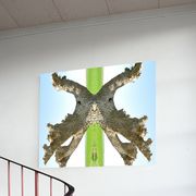 Fliegendes_trampel_card