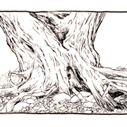 Landscape_4_card