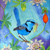 Splendid_fairy_wren