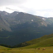August_2008_-_rocky_mountain_national_park_-_07_card