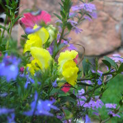 August_2008_-_estes_park_trip_35_card