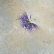 P1300019_card
