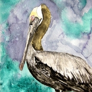 Pelican_bird_small_card