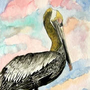 Pelican_bird_2_medium_card