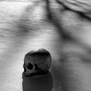 Snow-skull5bw_card