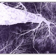 Untitled-1_card