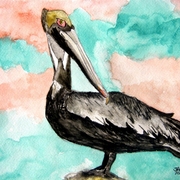 Pelican_bird_3_medium_card