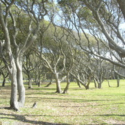 Cimg3072_card