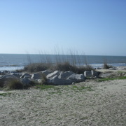 Cimg3071_card