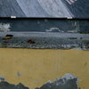 _dsc6823_thumb