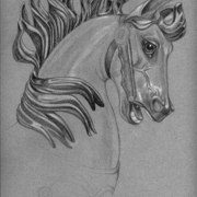 Carousel_horse_head_card