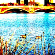 Duckscharlesrivercambridgephotoshop_card
