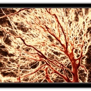 Out_from_the_deep_card