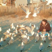 Feeding_the_seagulls_at_wrightsville_beach_card