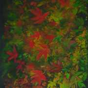 Maple_leaves_2_card