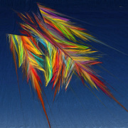 Clone_of_flight-of-fancy_card