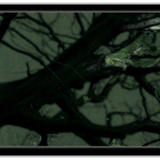 Untitled-2_card