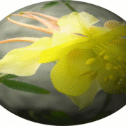 Columbinesphere_card