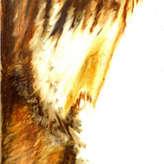 Luca_quadro5_card